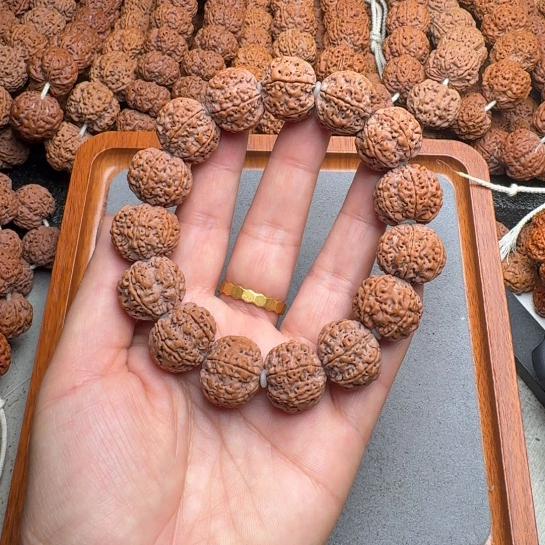 菩提菩提19号尼泊尔大金刚20原生态六瓣梅花