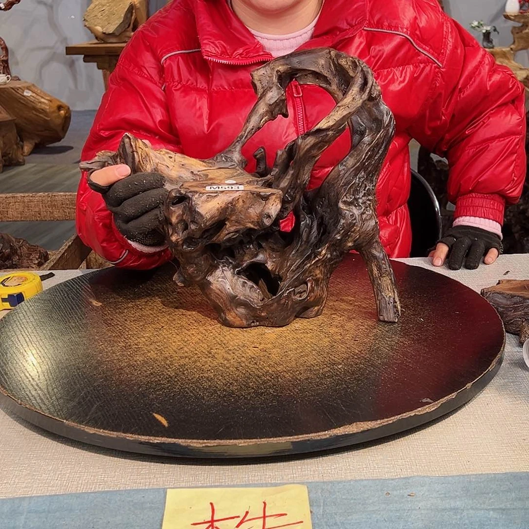 木东593 gchvhvhvhhhhbhh