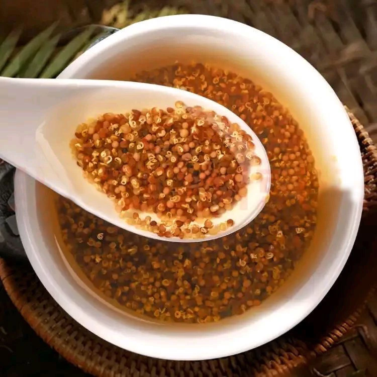 内蒙菟丝子农家田间野采菟丝籽内蒙小丝籽搭配枸杞泡水