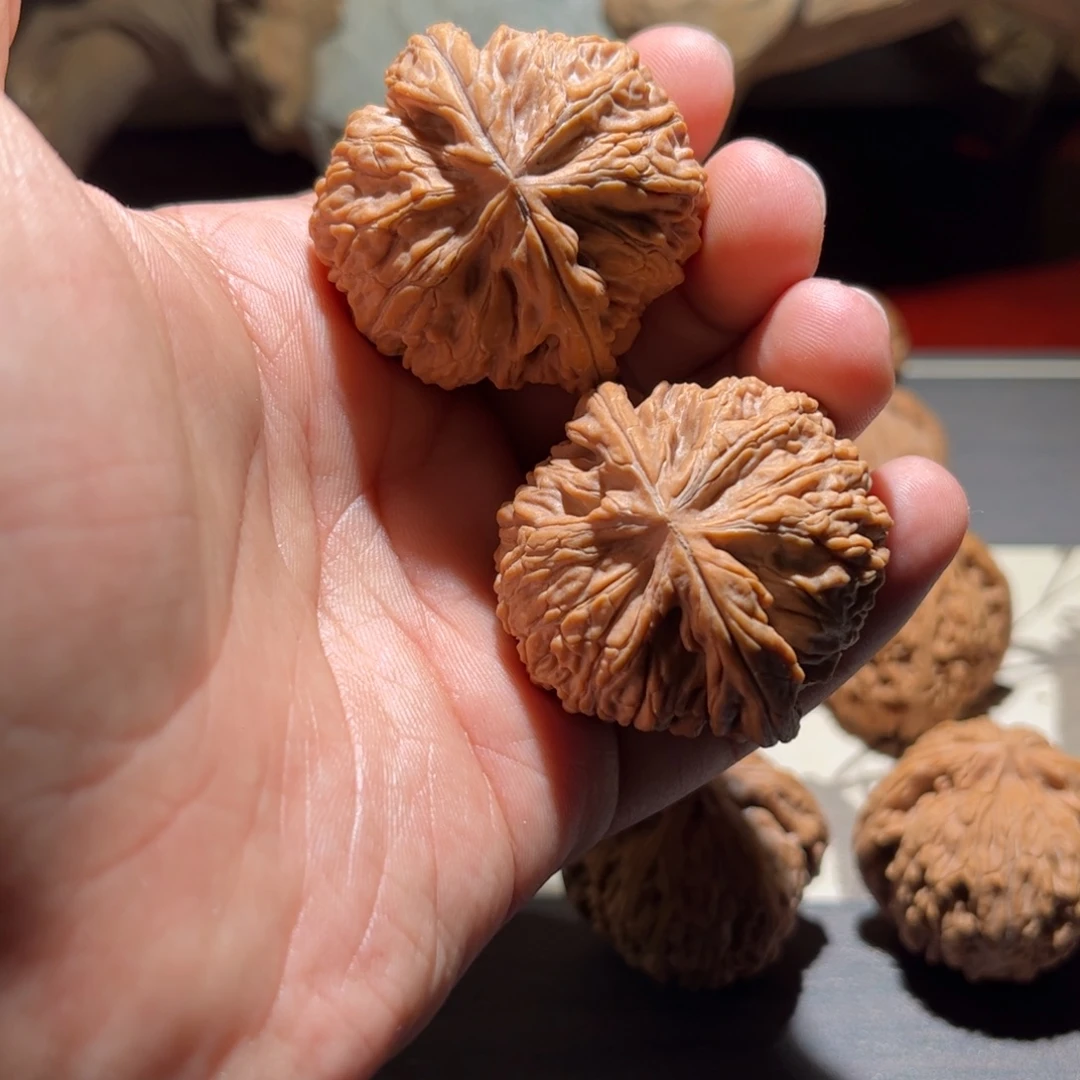 S***r吊坠文玩核桃42蛟龙