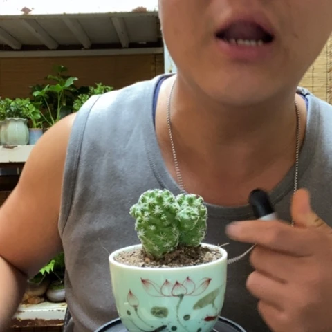 红陶一物一拍所见即所得132