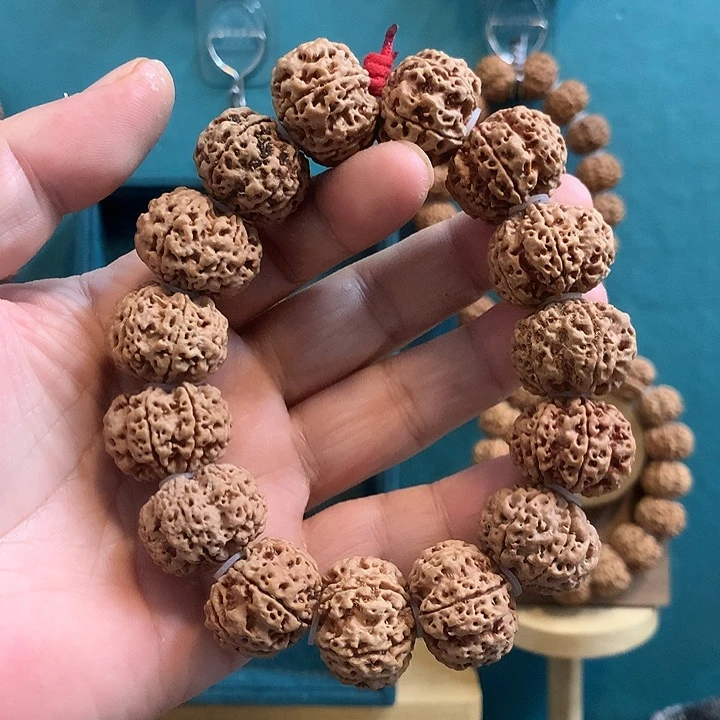 手串金刚菩提搁**郭6瓣