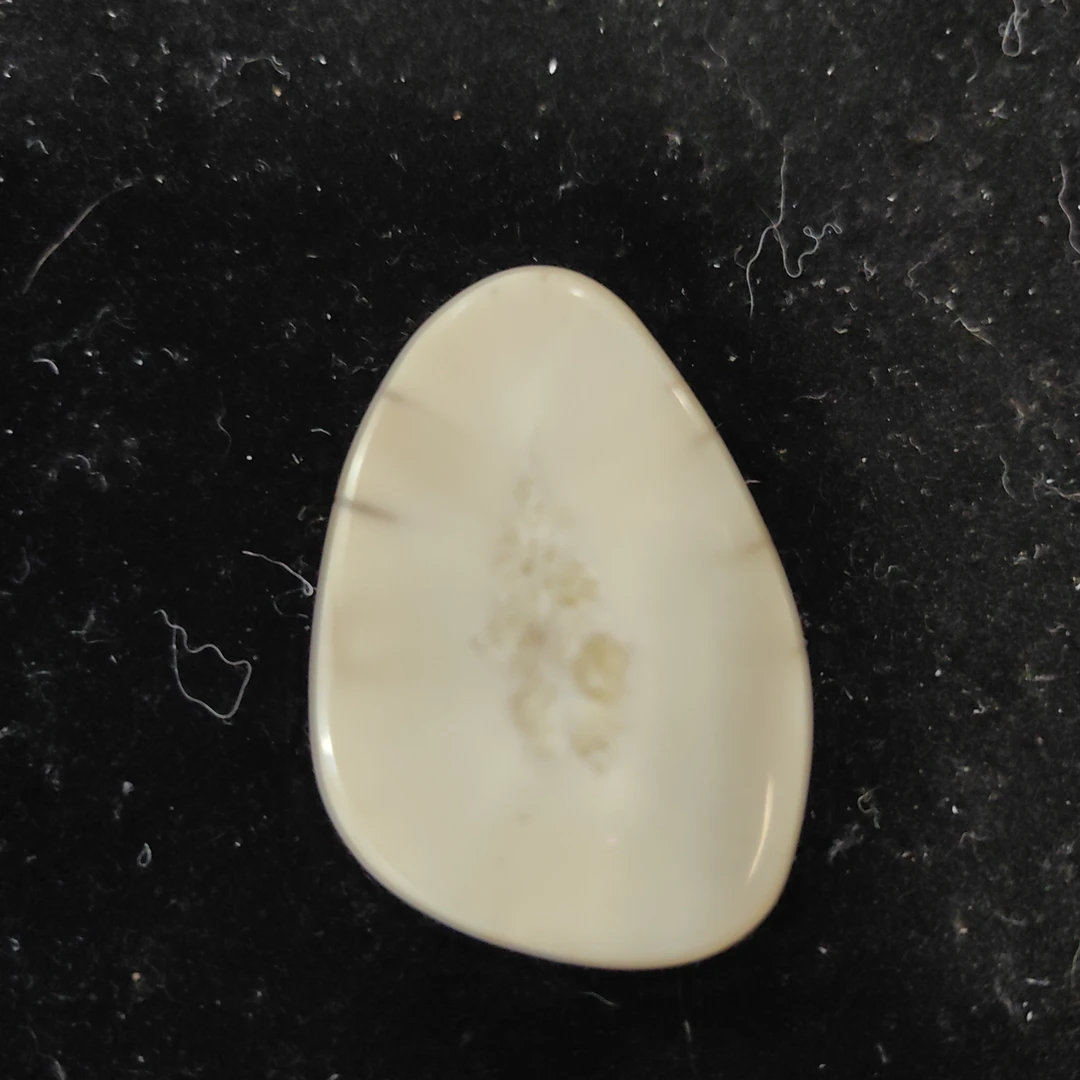 猛犸猛犸虬饼子WT413