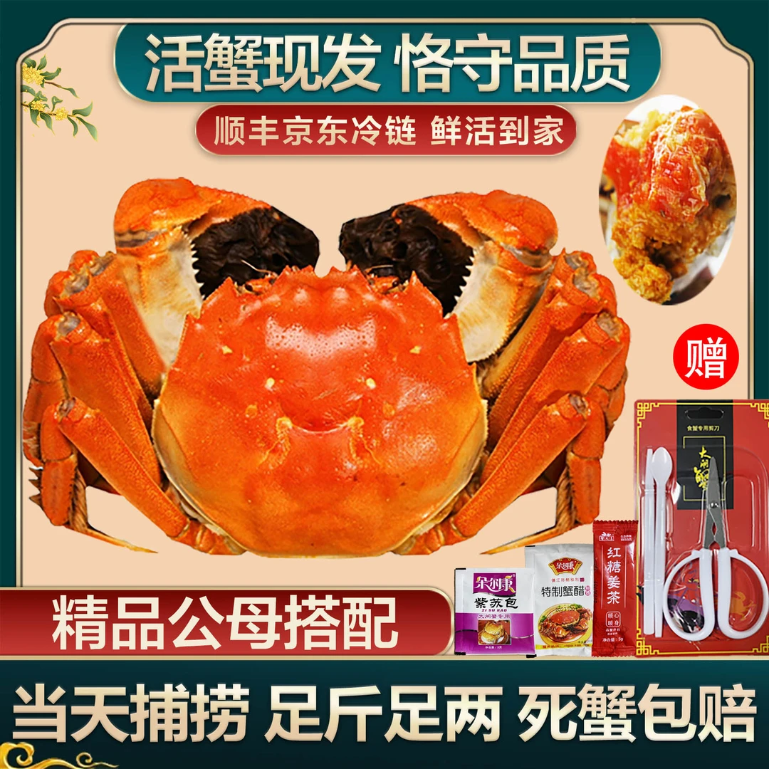 【苏州金标活蟹现货】公蟹5.1-4.8两/母蟹4.1-3.8两 多送2只到手共6-12只礼盒装 精品大闸蟹 顺丰京东冷链包邮