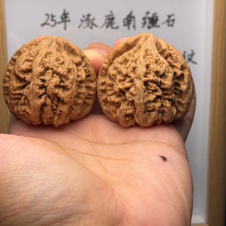 吊坠文玩核桃1869大粗筋46尺