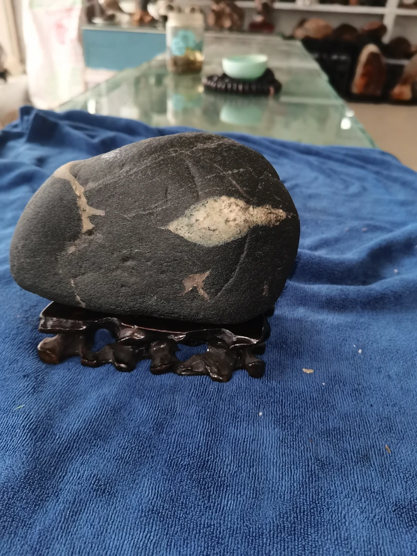 天然原石唐河雪浪石鱼小品摆件