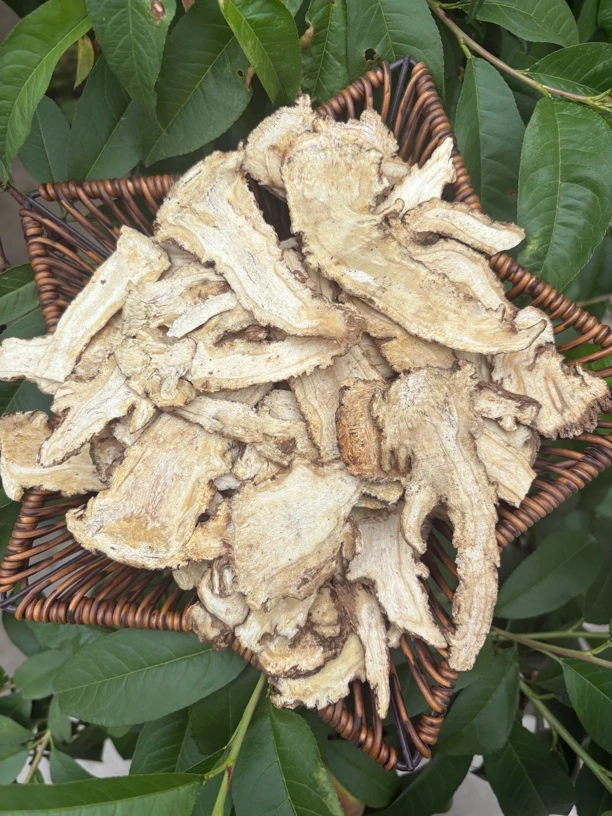 当归头片大片  岷县原产地直发