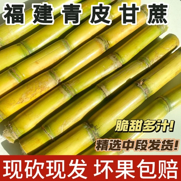 青皮甘蔗新鲜应季水果脆甜多汁5-10斤手撕甘蔗现砍现发坏果包赔
