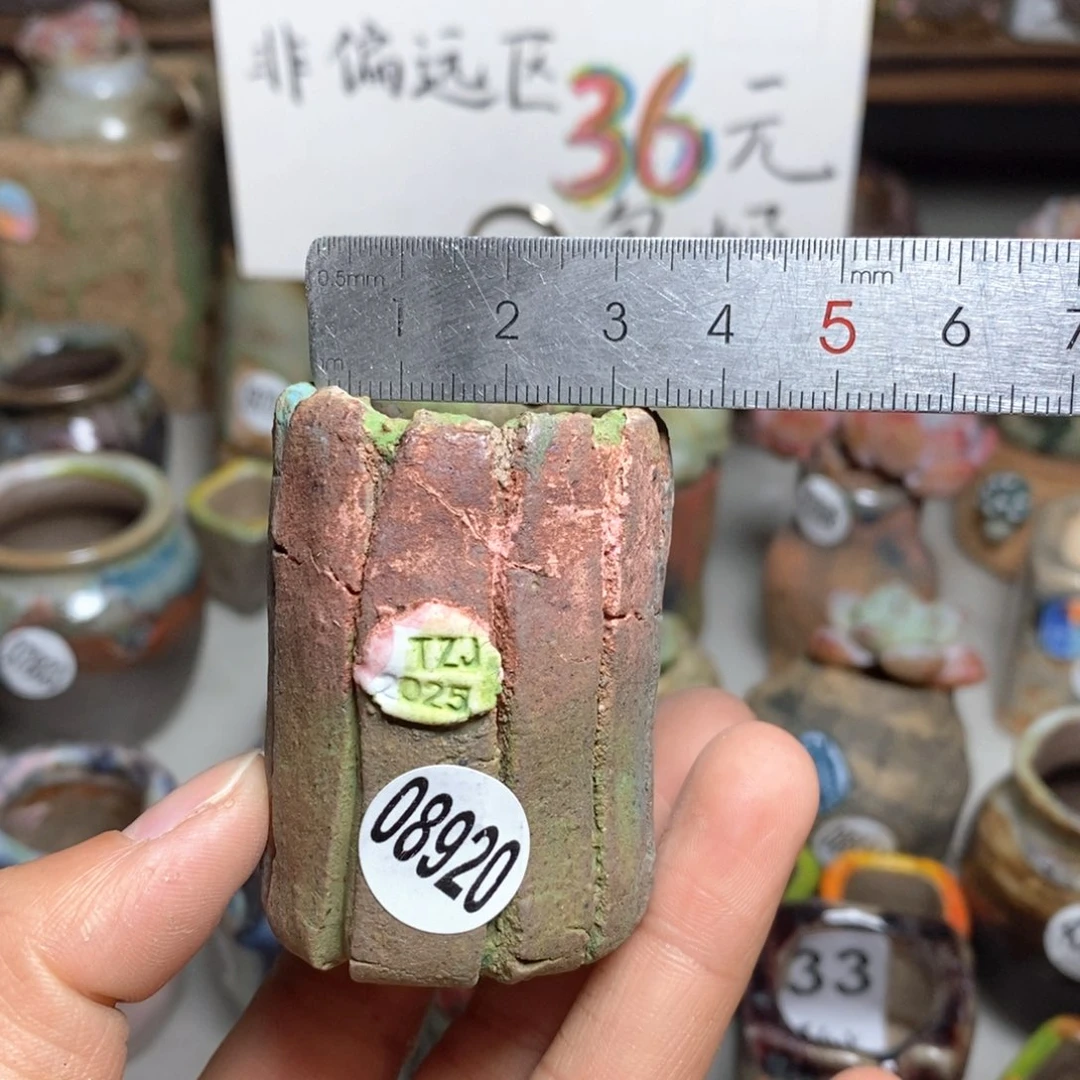 花盆拍3送一个小礼物