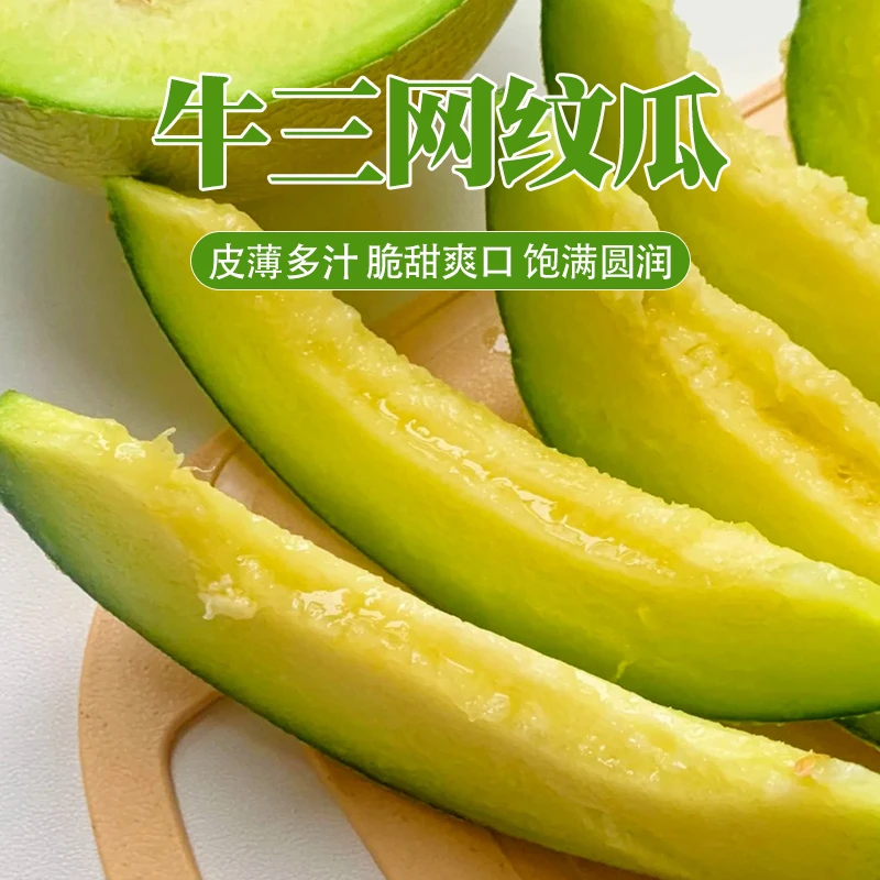 【坏果包赔】海南小蜜峰牛三网纹瓜2粒5.5-6斤