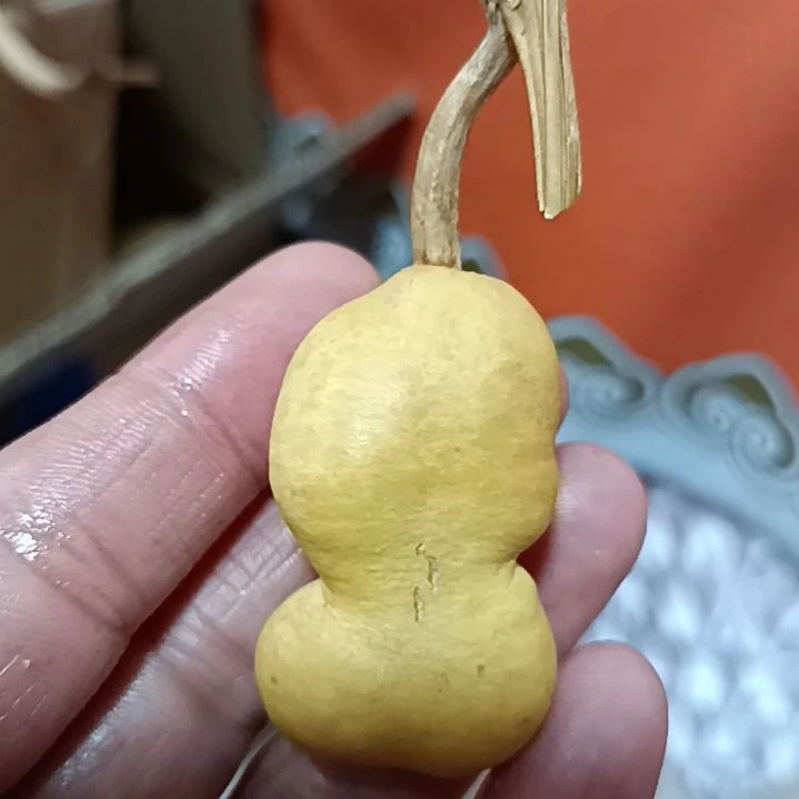 葫芦葫芦葫芦葫芦