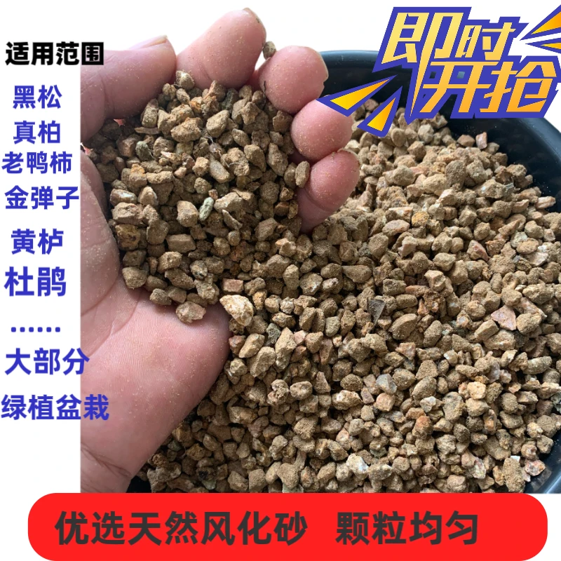 风化砂天然矿物透气颗粒均匀沥水生根植物营养土栽培用土黑松真柏