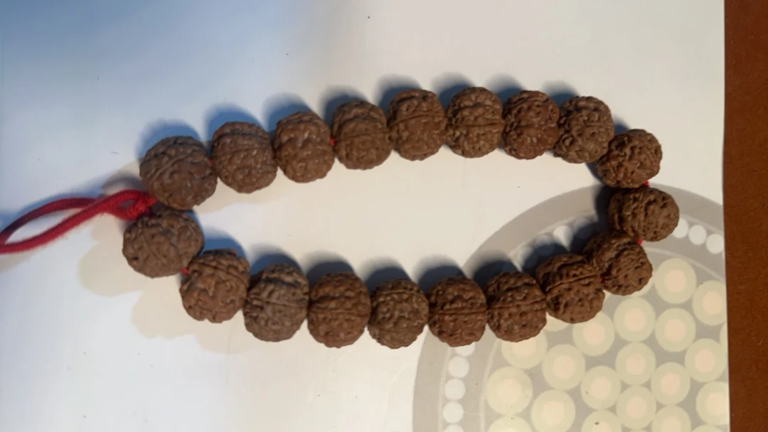 福利爆肉双龙纹小金刚菩提