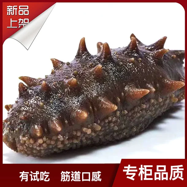 【Q弹口感】4-8头 500g 大连海参 即食海参 蒸制海参 品质款