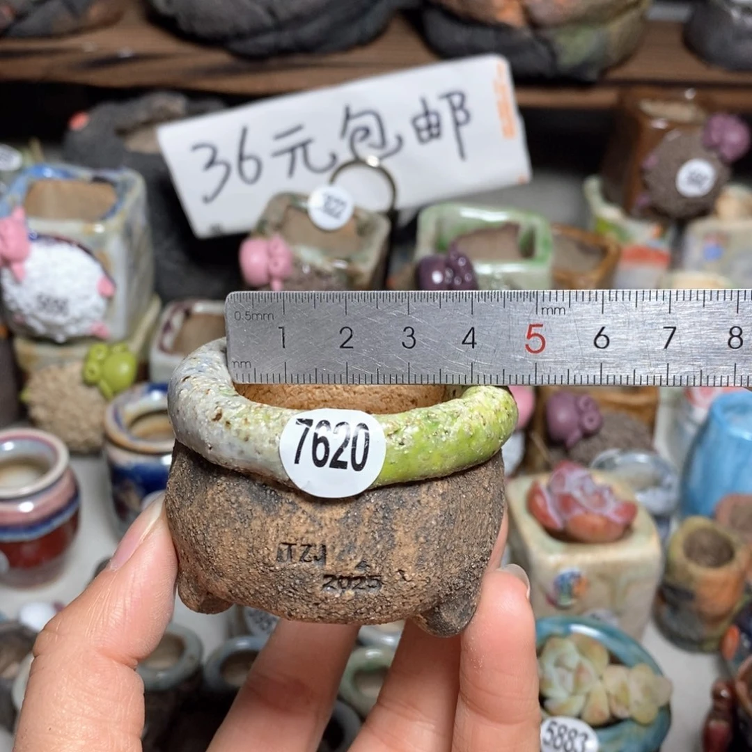 拍3送一个小礼物