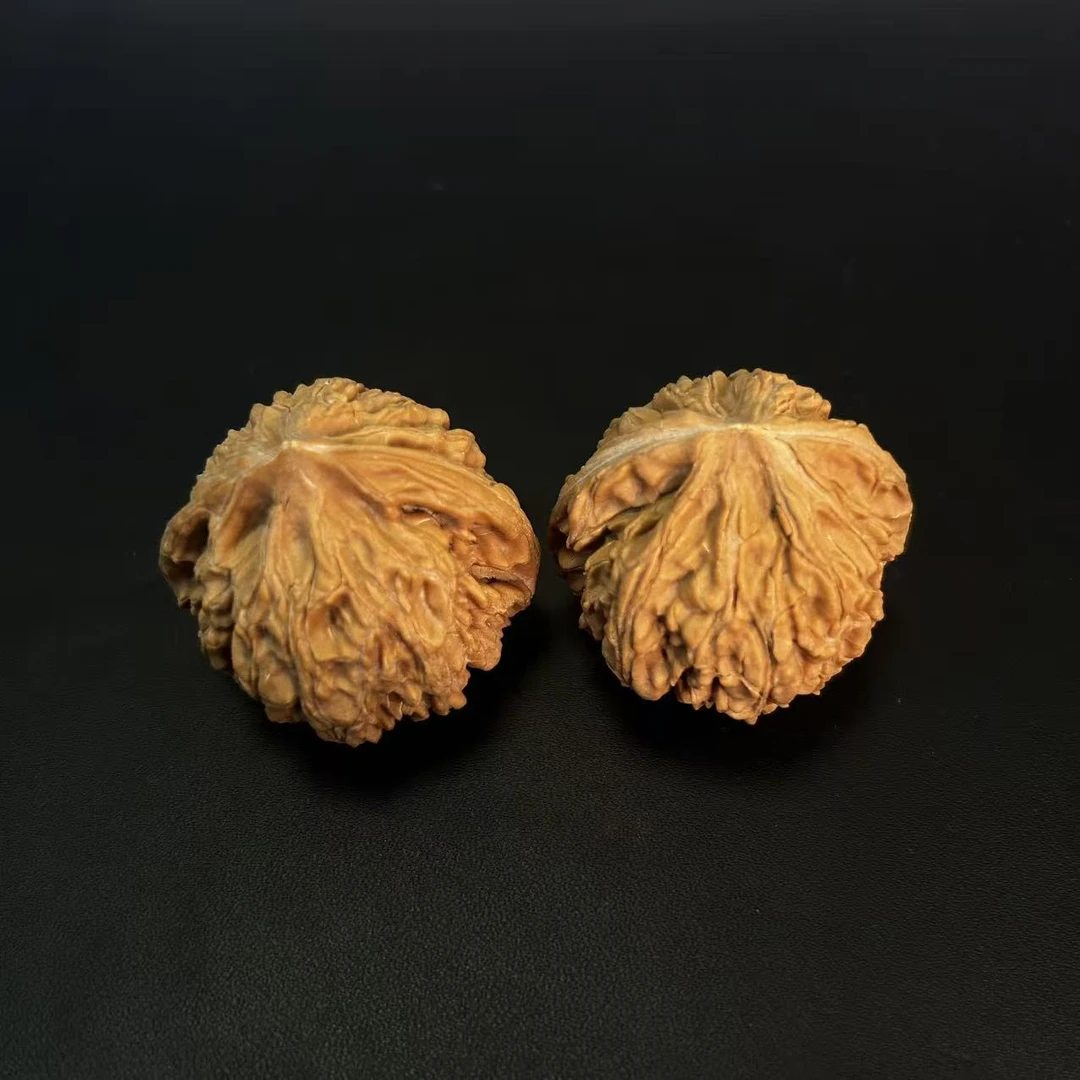 白茬御龙粗筋--D007