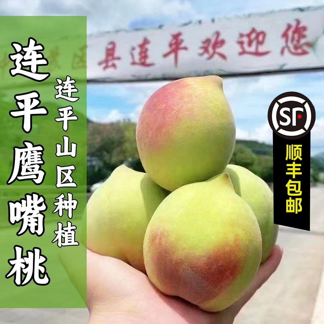 【顺丰包邮】正宗广东河源上坪老树鹰嘴蜜桃新鲜脆甜5/8斤坏果秒赔
