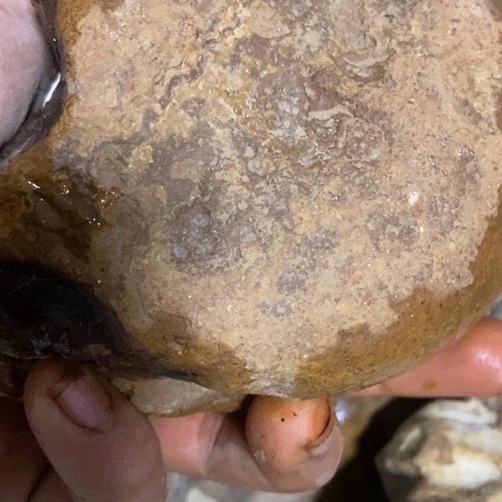 玛瑙/玉髓合金珠宝奇石巴西玛瑙