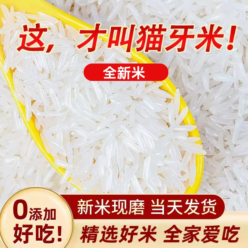 金特莱猫牙长粒香米大米新鲜颗粒饱满可做煲仔饭【可拆袋试吃2斤】