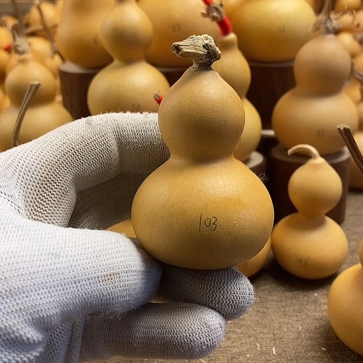 文玩葫芦 完美主义者 慎拍103