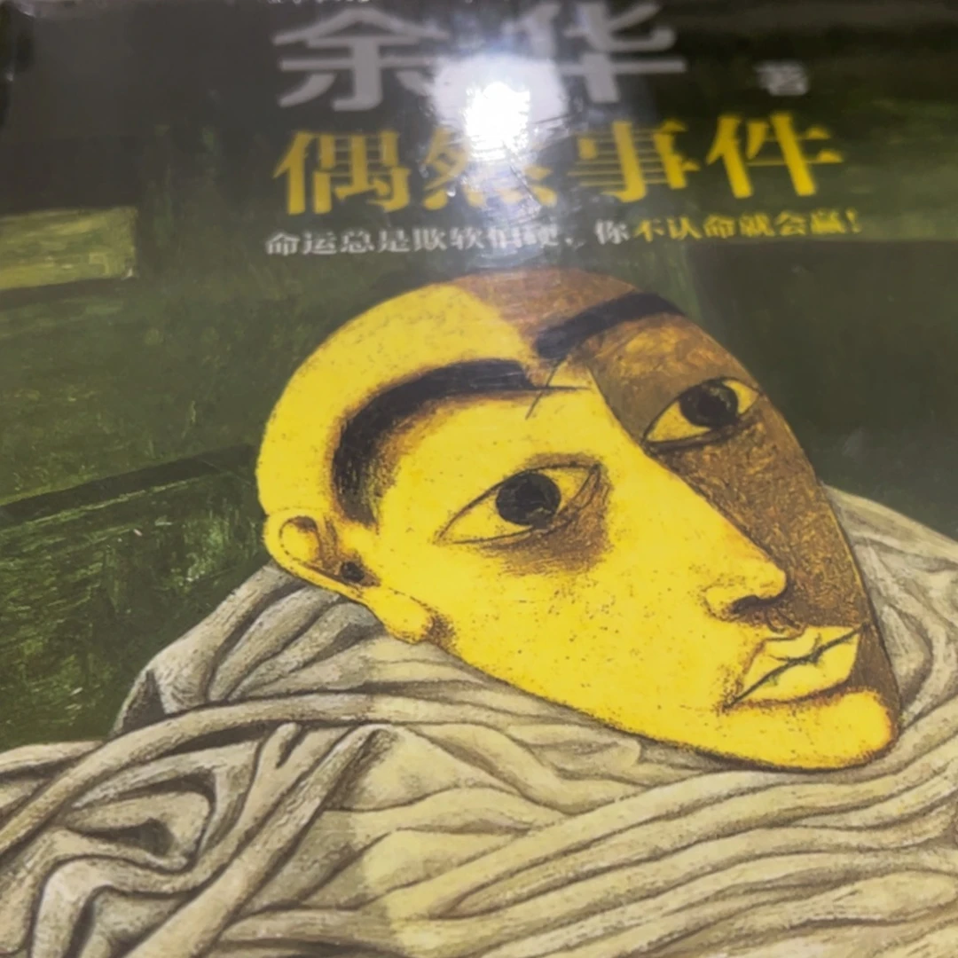 偶然事件精装一个