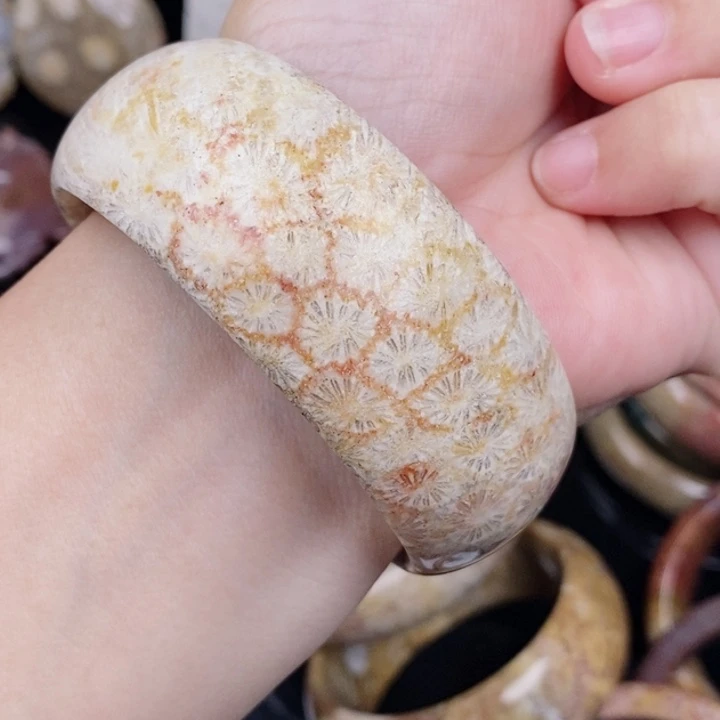 J***a未镶嵌手镯硅化玉