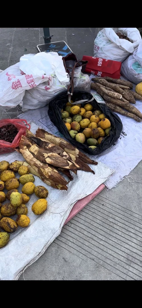 现收一物一图香菇