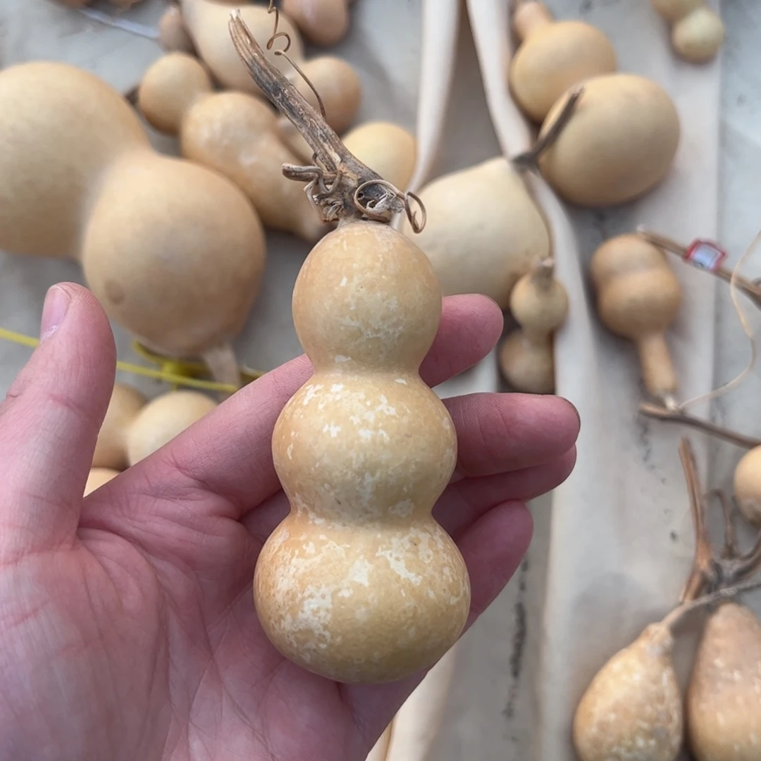 直播间专属链接，看好下单