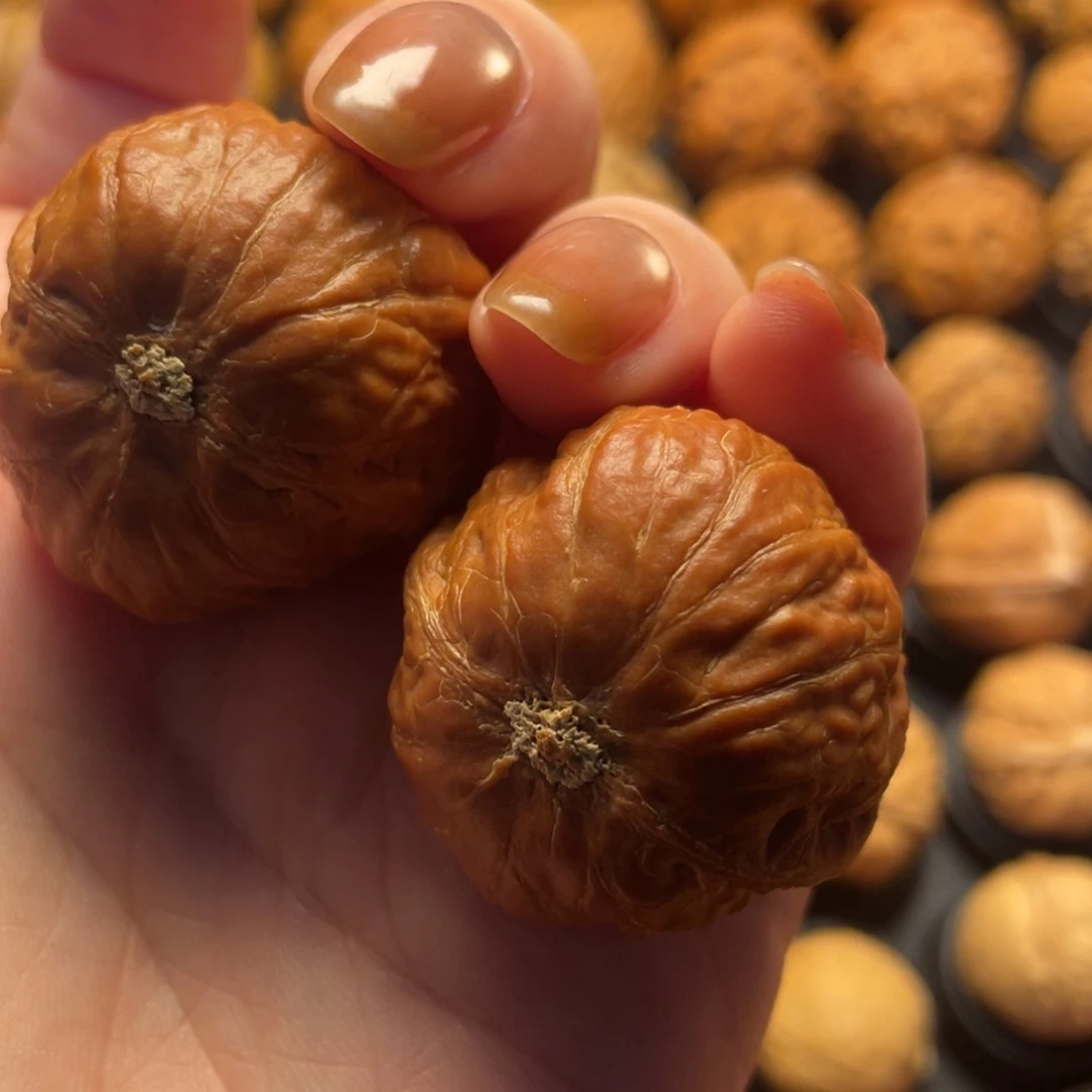 不***明文玩核桃把件核桃