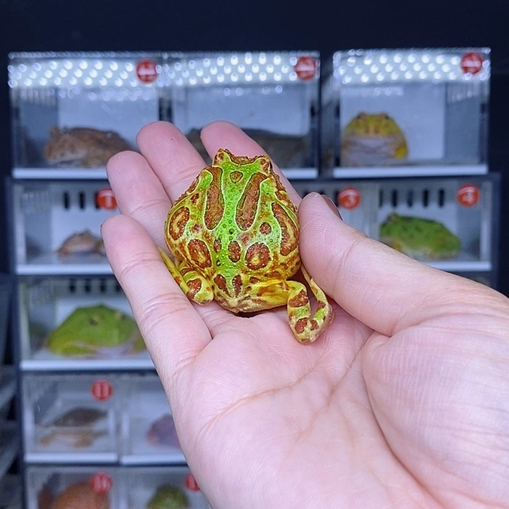 特价秒杀现货特价残