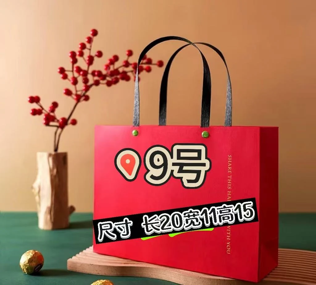 【9号】经典中号枕头包 时尚休闲百搭女士 A6507-12