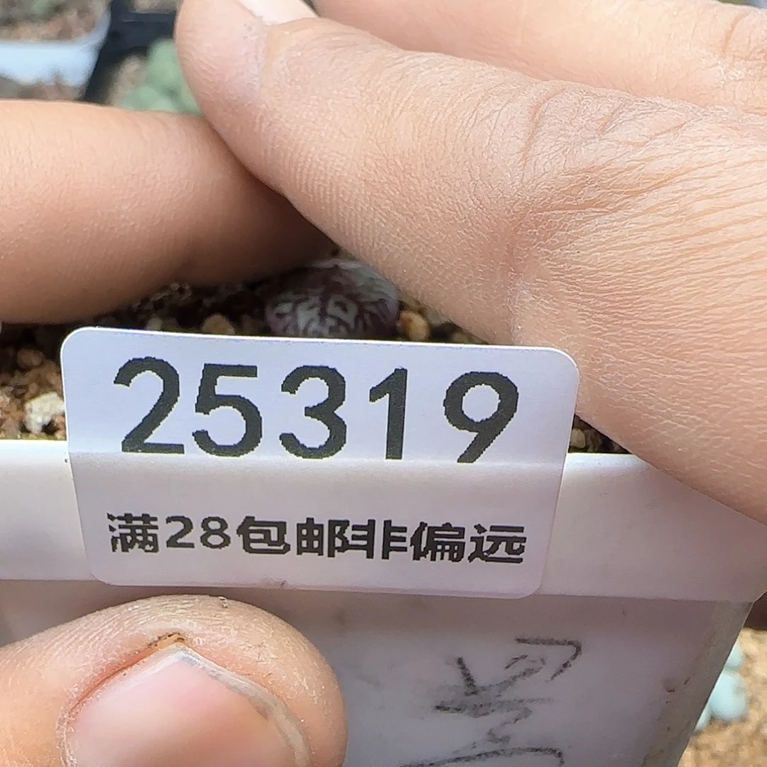 4**角满28米包邮哦25319