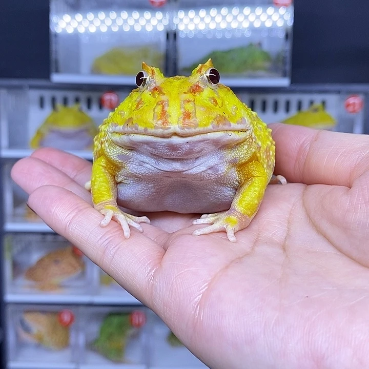 特价秒杀现货供应