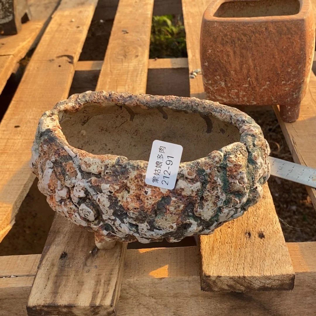 恩91号多肉盆一个呀