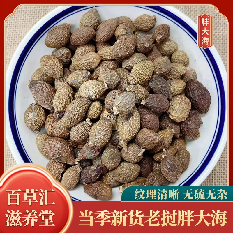 胖大海老挝进口道地胖大海