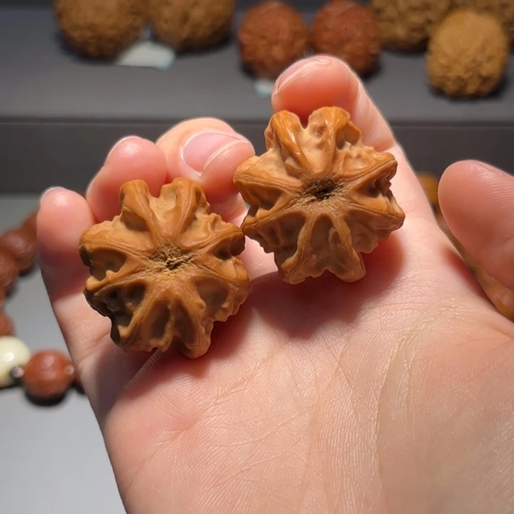 把件文玩核桃龙骨866