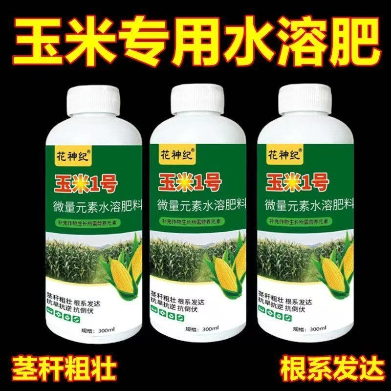 玉米一号金大棒玉米种植玉米增产增收籽粒饱满抗倒伏专用叶面肥