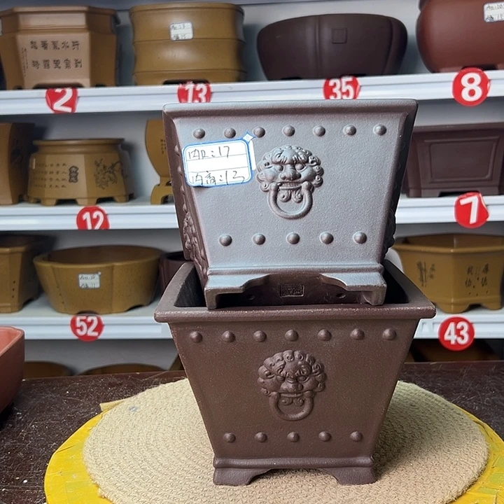 花盆紫砂你在一起