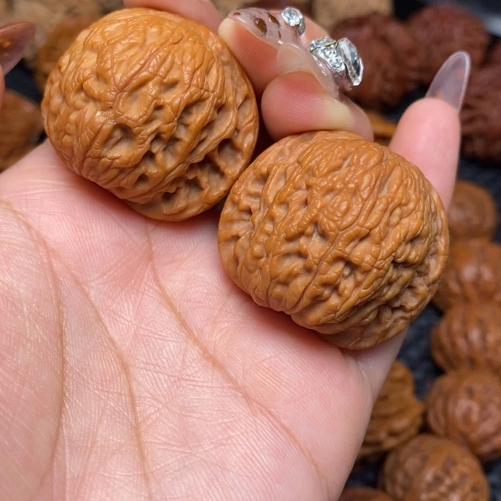 秦岭野生000000028