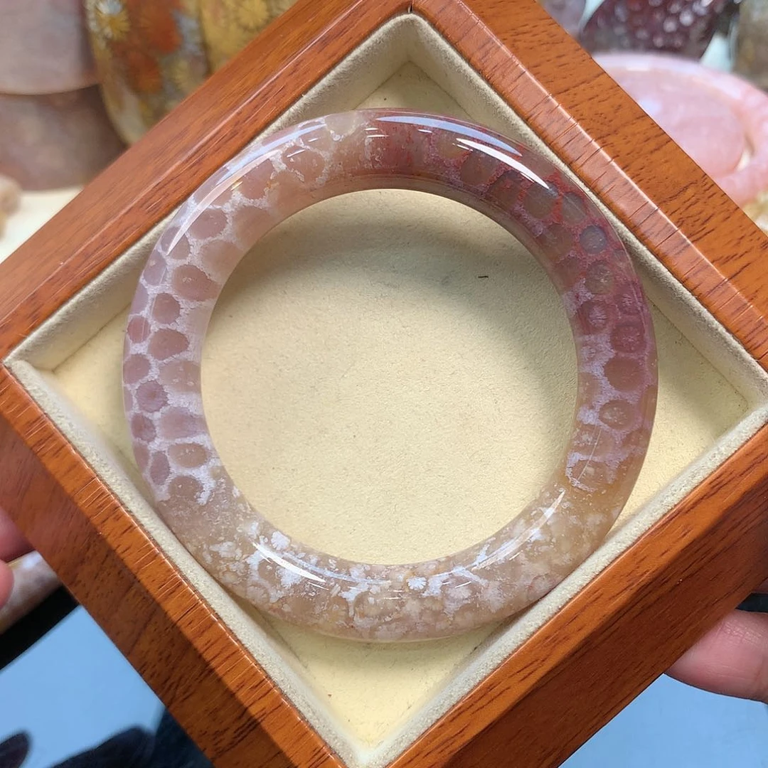 未镶嵌手镯硅化珊瑚（珊瑚玉）54.2口