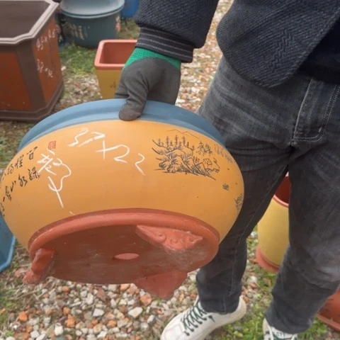 紫砂花盆紫砂花盆盆景盆栽瑕疵