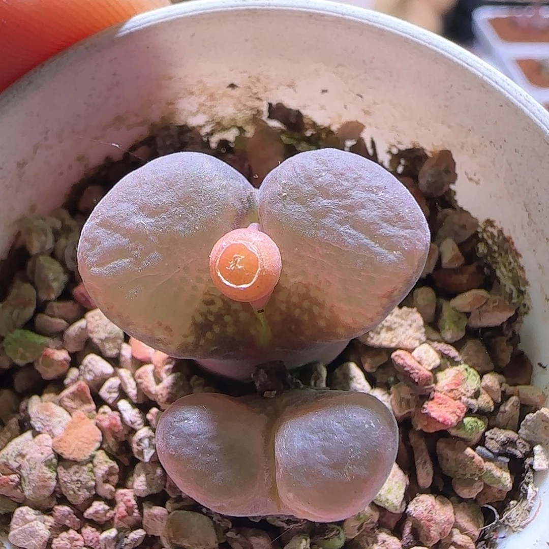 哈哈哈哈哈哈哈218