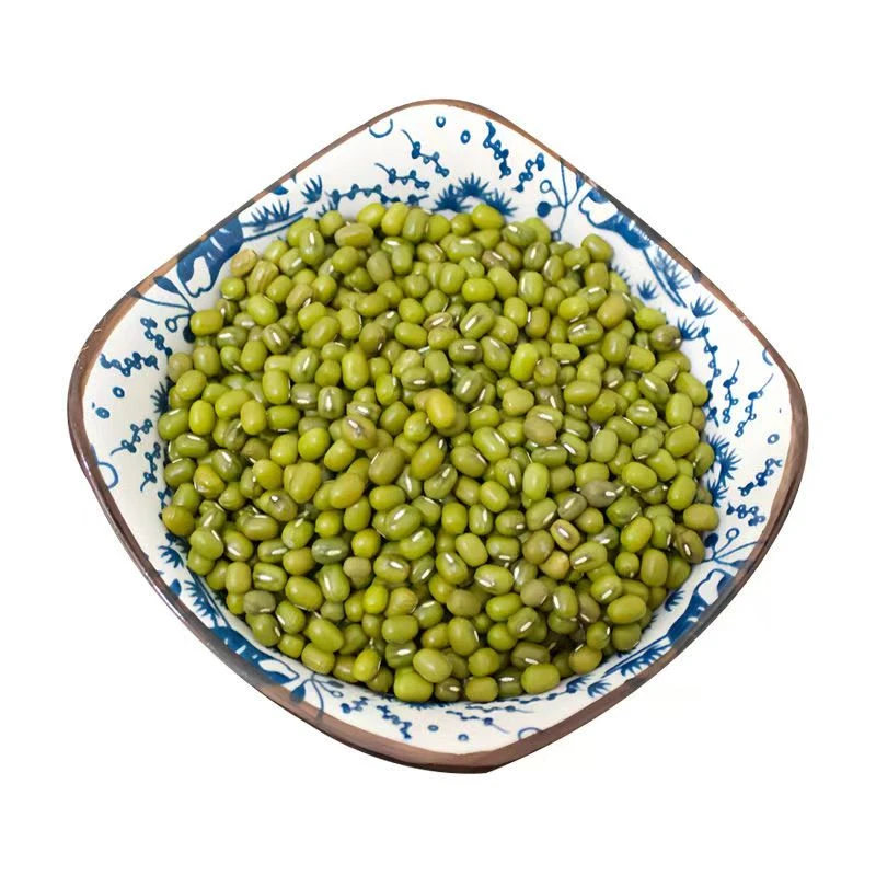农家绿豆新鲜饱满可做绿豆汤绿豆粥消暑美食