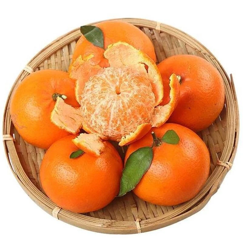 沃柑橘子 1500g