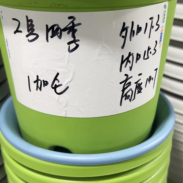 特价2号口17高14白色10只无托