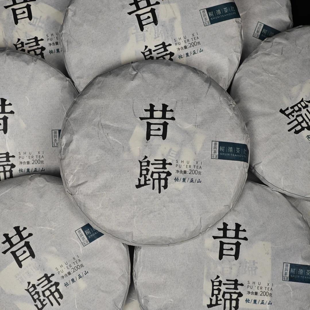 树禧昔归·云南临沧普洱生茶2024头春高端送礼茶气霸道手工杀青