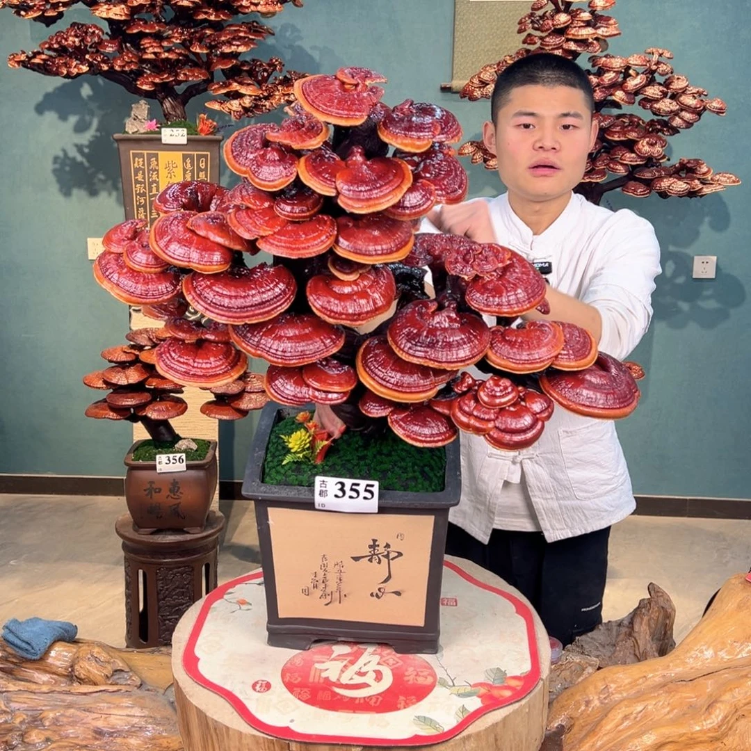 无花朵88888888888