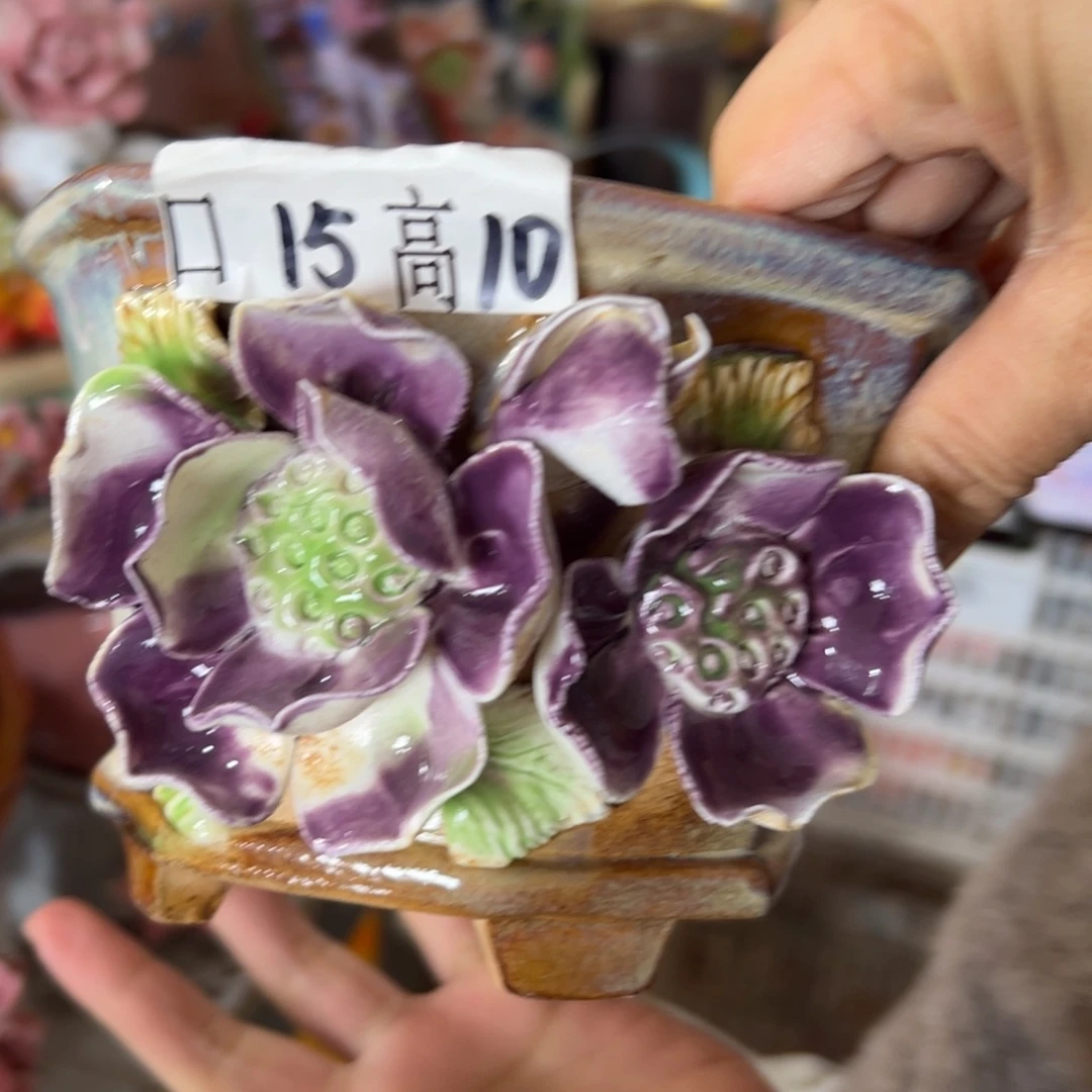 花盆，拍满20发货，退款拉黑