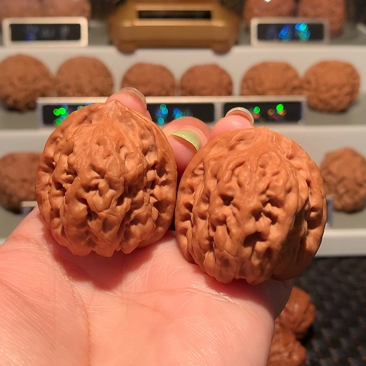 文玩核桃把件祥云