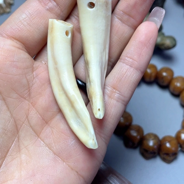 大果紫檀（缅甸花梨）